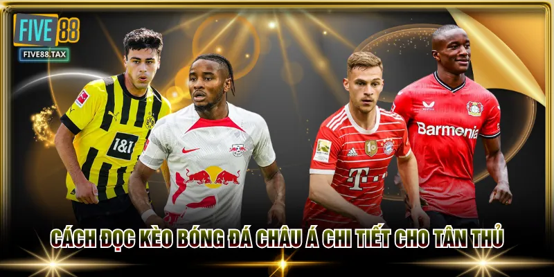 Cách đọc kèo bóng đá châu Á chi tiết cho tân thủ